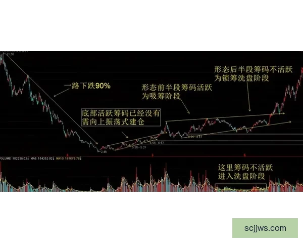 最新五十路c0930：背后隐藏的惊人秘密大揭秘